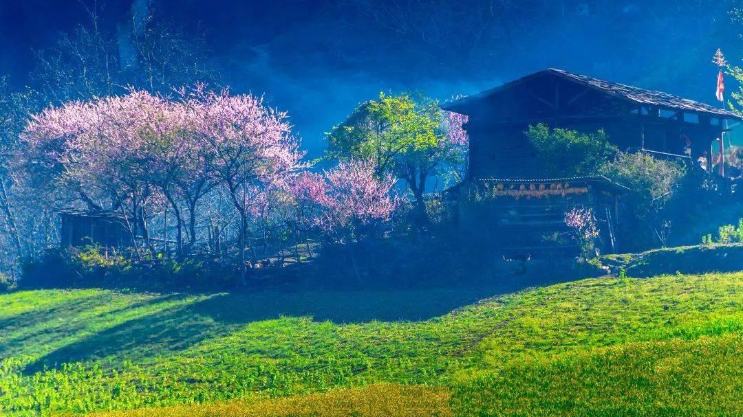 【身边的“法律明白人】陈开良:葡萄架下的“普法夜话”