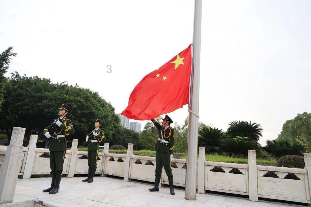 千城百县看中国丨河北内丘:生态向好 候鸟筑新巢