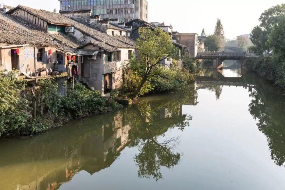 二呆槑青梅粒是药品，还是保健品？游戏画面